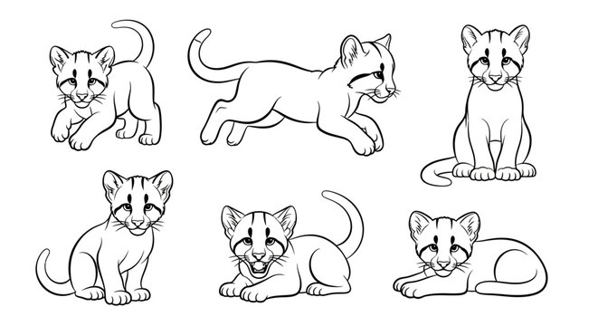 Cute Cougar Cub Set, Outline Drawing of Mountain Lion Kittens
