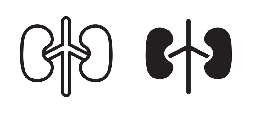 Kidney icon In Flat and stroke Style Vector For App, UI, Websites. Black Vector Illustration.