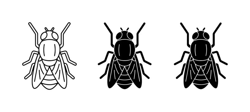 Fly Icons Set: Line Art and Silhouette Vector Illustrations for Pest Control and Insect Graphics