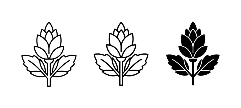 Hop Icons, Botanical Vector Art, Brewing Ingredient Graphics, Plant Symbols