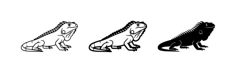 Fototapeta premium Iguana Vector Icons, Reptile Graphics, Animal Silhouettes