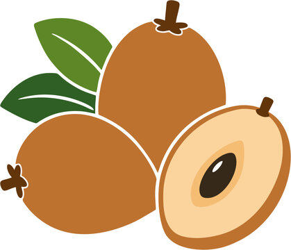 Ilustra&ccedil;&atilde;o vetorial flat de sapoti tropical