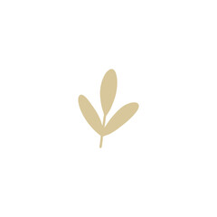 Obraz premium Floral leaf design vector illustration