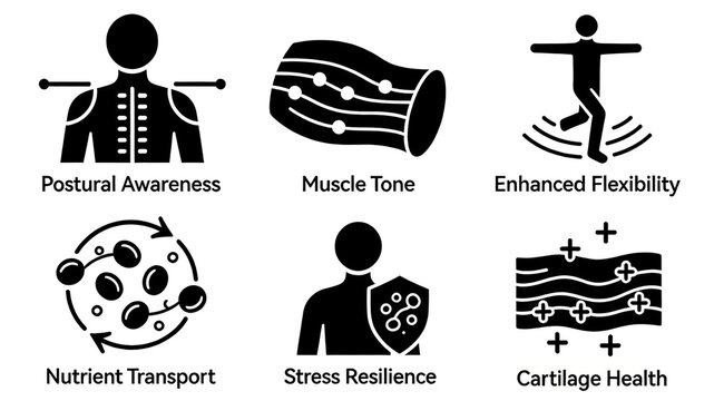 Body shape, muscle texture, jumping person, nutrient cycle, shield person, and cartilage icon represent body function maintenance and joint health, suitable for sports and health care scenarios.
