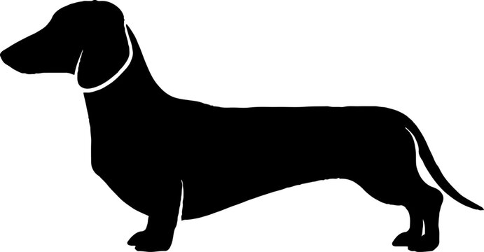 Dachshund dog standing in side profile silhouette