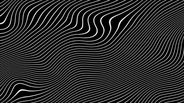 White Wavvy Lines Motion Background