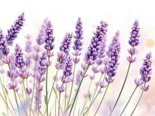 Fototapeta premium A whimsical watercolor painting of a bouquet of lavender sprigs, soft and dreamy hues, soft, gentle