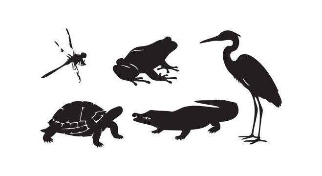 Wildlife animals vector illustration dragonfly frog turtle alligator and heron bird for nature and safari theme designs.