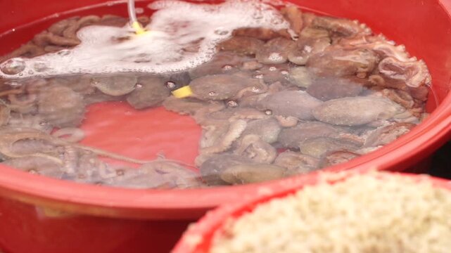 대한민국 한국 전통시장 재래시장 수산시장 시장 수산물 해산물 낙지 산낙지 활어 연체동물 식재료 유통 판매 상인 노점 신선한 대야 바구니 수조 살아있는 제철음식 보양식 영양식 탕탕이 연포탕 낙지볶음 식문화 장날 식료품