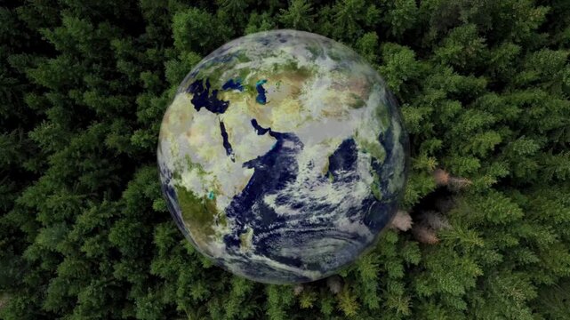 Top view of planet earth hovering above a dense, green evergreen pine tree forest background.
