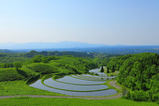 扇棚田」の写真素材 | 656件の無料イラスト画像 | Adobe Stock