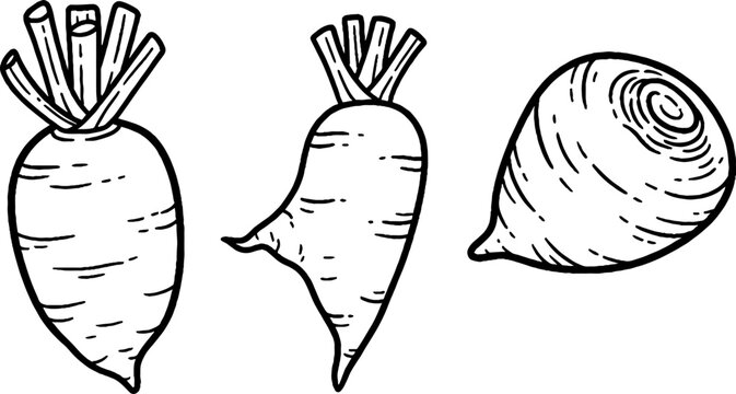 Stylized leeks and onion with vertical line texture