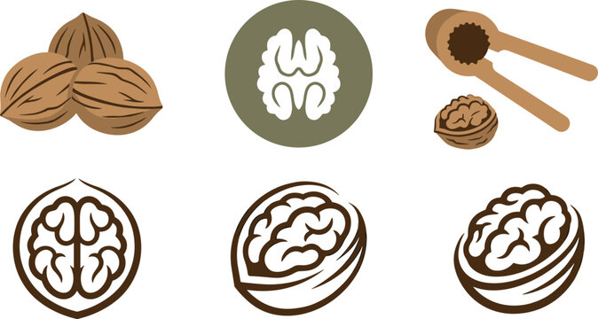 Minimalist Walnut Vector Icon Set Featuring Nutcracker Tool Open Shells and Brain Shaped Kernel Symbols for Healthy Food Logos and Organic Snack Branding