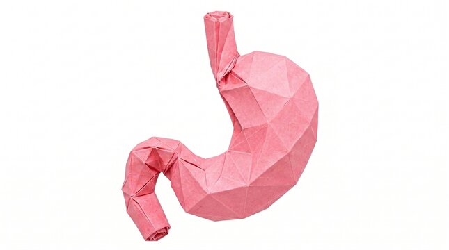 Polygonal 3D model of a human stomach in pink, isolated on a white background, representing anatomy and digestion.
