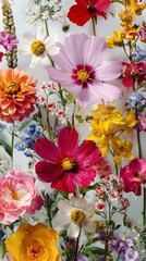 Obraz premium Vibrant floral collage blooms