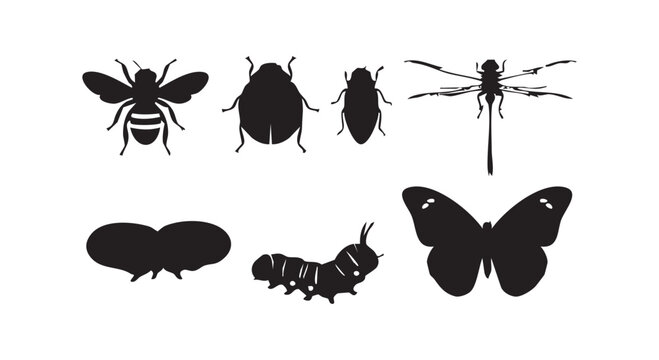 Collection of insect silhouettes including bee beetle bug dragonfly moth caterpillar and butterfly for biology studies.
