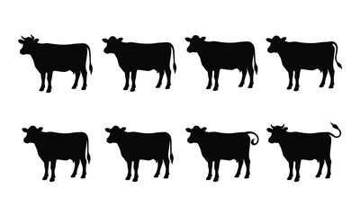 Fototapeta premium Detailed black cow silhouettes in different standing poses for agricultural branding assets
