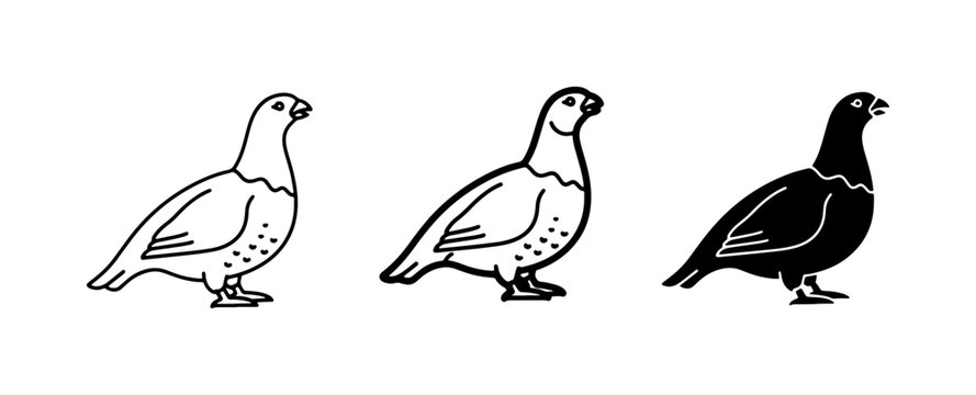 Grouse Vector Icons, Bird Graphics, Wildlife Silhouette Set