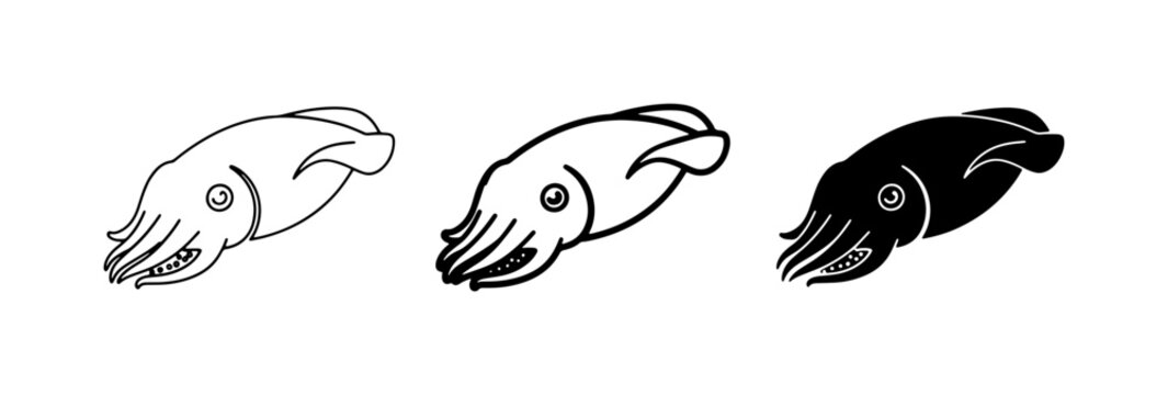 Cuttlefish Icons, Seafood Vector Art, Marine Life Graphics