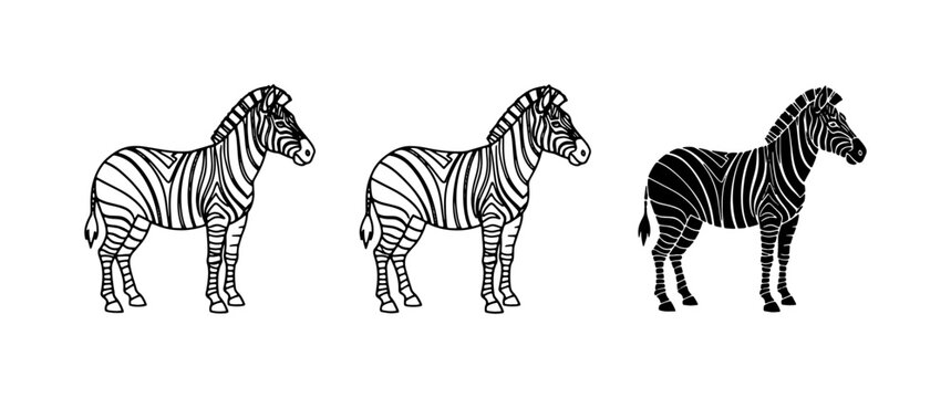 Three Zebra Illustrations, Line Art and Silhouette, Wildlife Vector