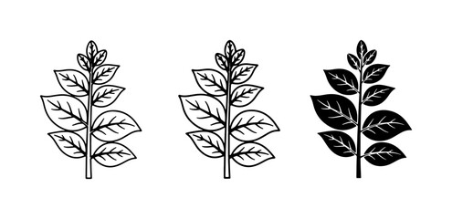 Leafy Branch Icons, Botanical Vector Graphics, Plant Elements © Asadul
