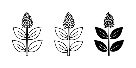 Plant Icons, Botanical Vector Graphics, Floral Line Art Elements © Abu