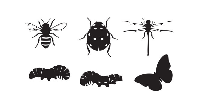 Insect silhouettes set including honey bee ladybug dragonfly caterpillar and butterfly for biology and nature design work.