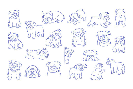 Bulldog set dog puppy pet line art illustration cartoon dog bulldog set with playful poses, sleeping, sitting, running, yawning, grumpy face