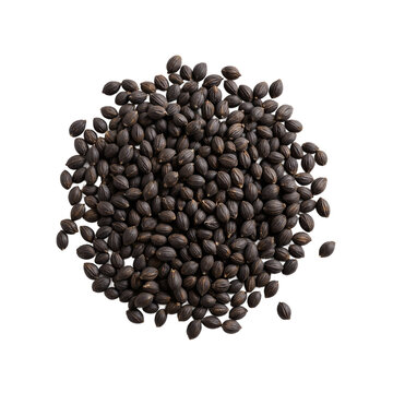 Seeds cumin kalonji piled in a heap and isolated on a transparent background for culinary and medicinal design use