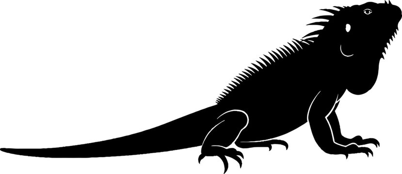 Iguana silhouette with long tail and dorsal spines