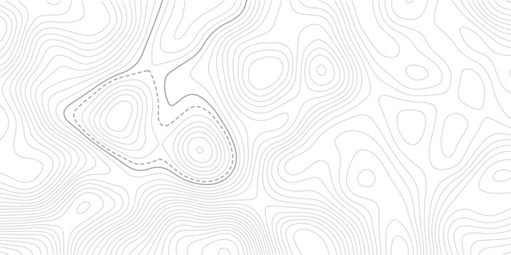 Abstract moss green topographic contours lines of mountains.The concept of a conditional geography scheme and the terrain path. Ultra wide. Map vector terrain Illustration.