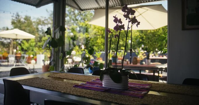 Steady cam movement inside kitchen of tall plant on luxury table with view of patio
