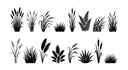 Wetland Plants Vector Icons, Marsh Grass Silhouettes, Nature Elements © Nur