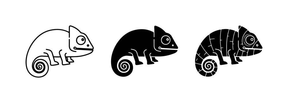 Chameleon Icons: Outline, Silhouette, Patterned Vector Graphics
