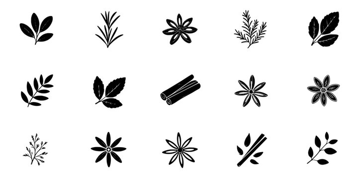 Botanical leaf and flower icons with sketch line art, scattered on white background for decoration and patterns