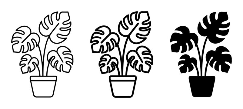 3 Monstera plant silhouettes in pots, solid black style, botany