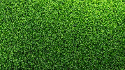 Obraz premium Abstract Green Textured Background Ideal for Nature and Eco-Friendly Designs