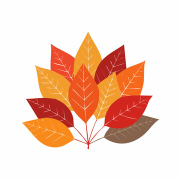 Autumn Leaves Arrangement