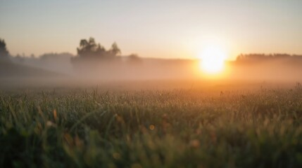 Fototapeta premium Golden Sunrise Over Misty Agricultural Field at Dawn, Serene Rural Landscape