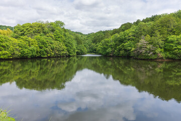 Obraz premium 日本の岡山県津山市の神楽尾山の美しい風景