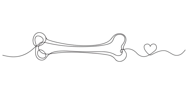 Bone single line art, continuous one line drawing of Isolated outline vector art, Continuous one line drawing of bone. simple human bone line art vector illustration. Bone toy for dog line art, 