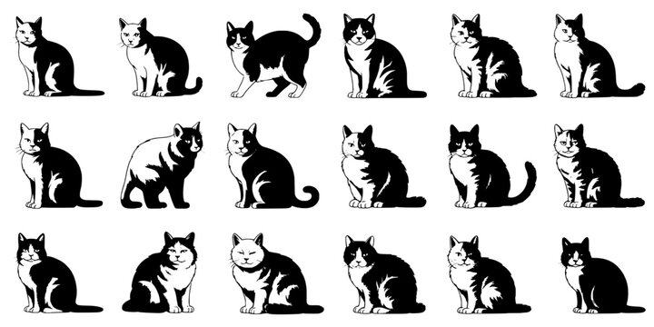 Cats illustration set with various patterns and poses featuring black, white, sitting with animals and pets elements for domestic, fur projects,