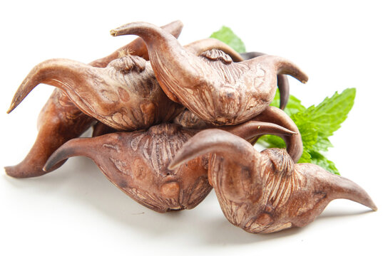 Fresh Water Chestnuts Lingjiao Chinese Hubei Cuisine Specialty Ingredient with Green Leaves