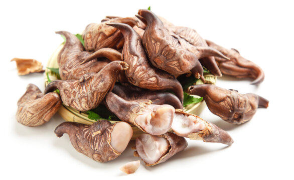 Fresh Shiitake Mushrooms from Hubei China - Premium Gourmet Cooking Ingredient