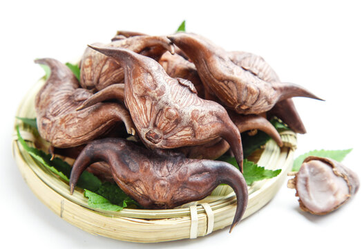 Fresh Wild Mushrooms from Hubei Province in Bamboo Basket - Gourmet Asian Specialty Ingredients