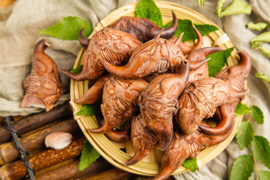 Fresh Wild Specialty Mushrooms from Hubei Province in Traditional Bamboo Basket with Green Leaves