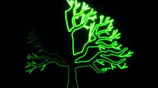 Abstract green neon tree outline animation with dynamic glowing branches against black background, digital art, motion graphics, abstract concept.