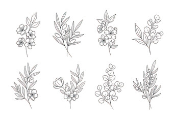 Fototapeta premium Set of eight silver glitter botanical featuring hand-drawn floral branches, leaves, and sprigs isolated on a solid black background