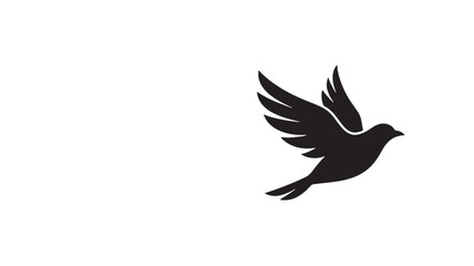 Fototapeta premium Bird silhouette in flight with outstretched wings and detailed feathers featuring black, white, nature with animal and flying elements, clean
