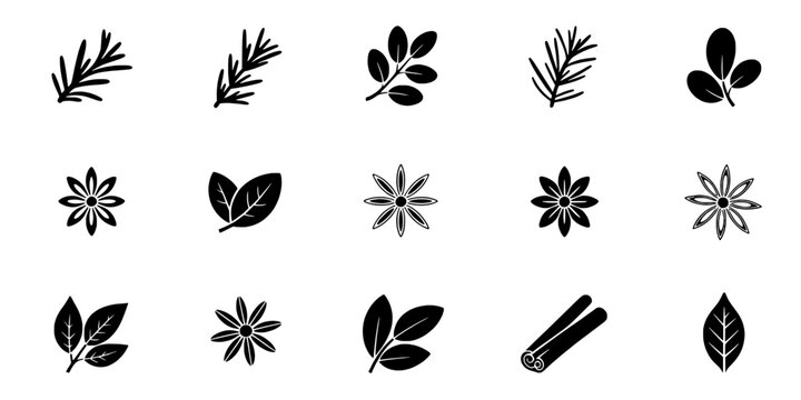 Herbs and spices set with detailed botanical illustrations and various plant elements featuring leaves, flowers, culinary with cooking and natural